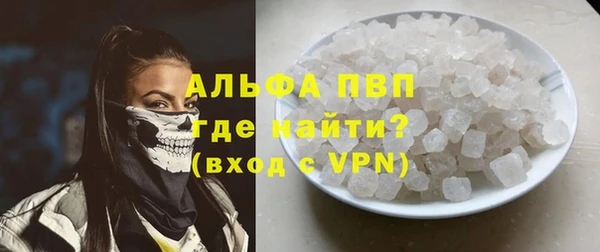 spice Аркадак