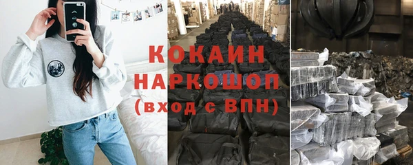 дживик Арсеньев