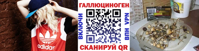 Псилоцибиновые грибы прущие грибы Сосновка